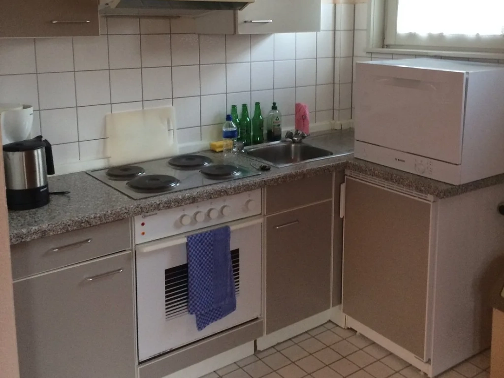 Small apartment kitchen with electric stovetop, oven, sink, and countertop dishwasher on white tile backsplash.