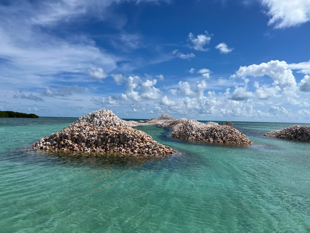 Mounds of conch shells rise from shallow turquoise Caribbean waters under a partly cloudy blue sky.