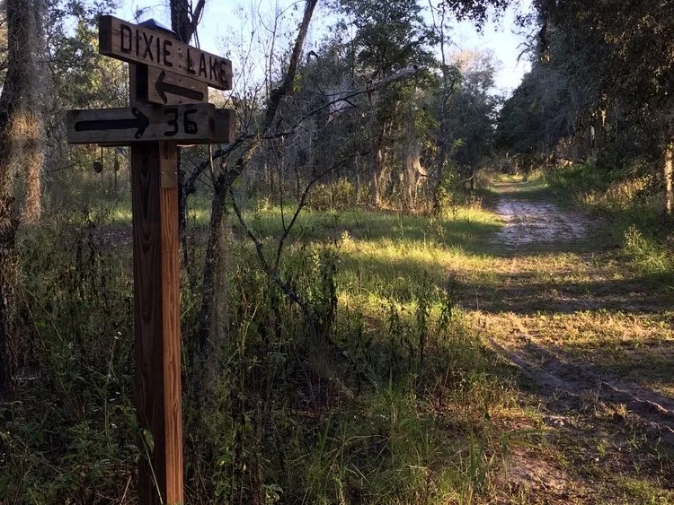 Hiking in Florida: Dixi Lake