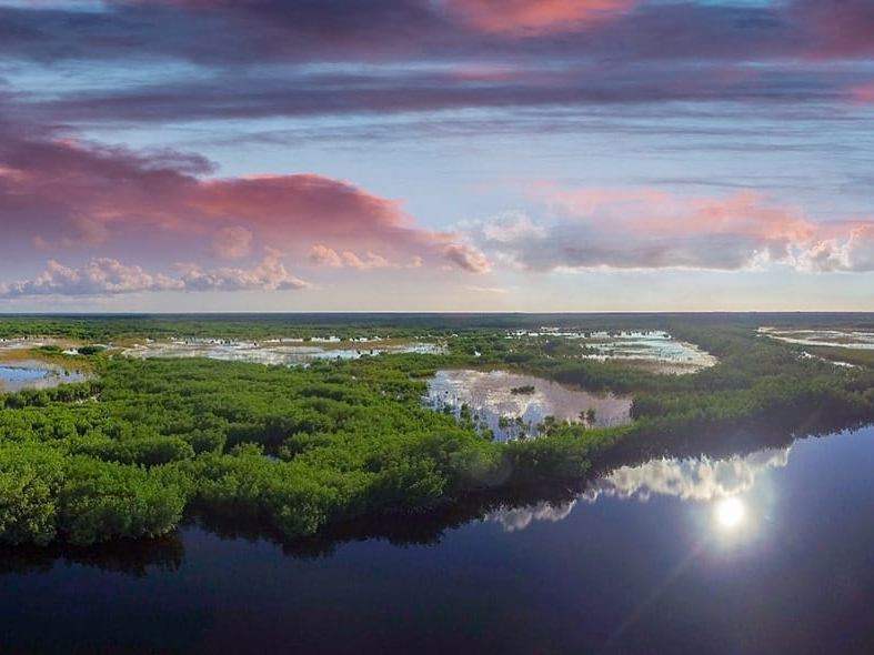 Everglades National Park, one of the best national parks in the USA