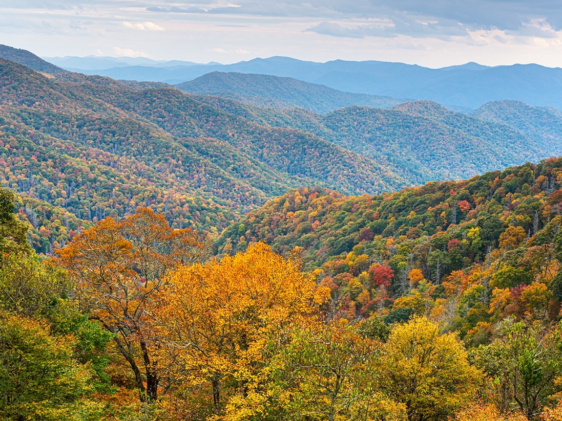 Fall color in Great Smoky Mountains, one of the best national parks in the USA