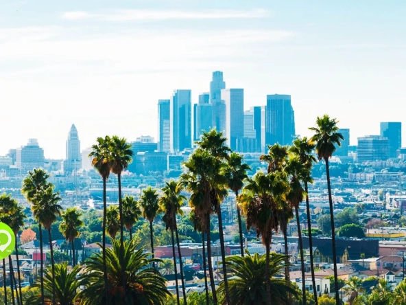 Downtown skyline behind palm trees on a clear day in kid friendly Los Angeles