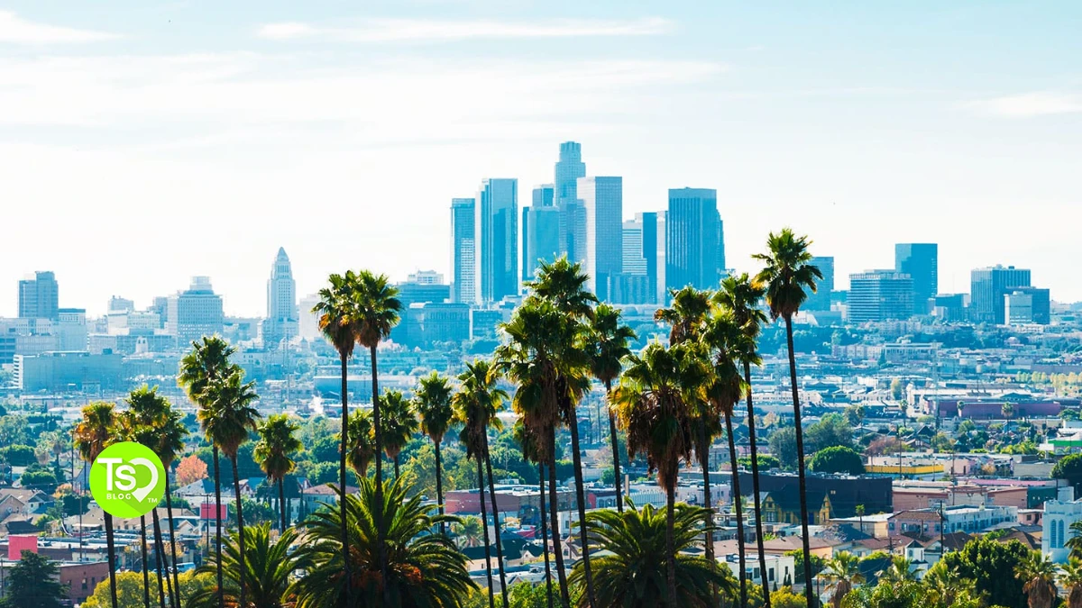 Downtown skyline behind palm trees on a clear day in kid friendly Los Angeles