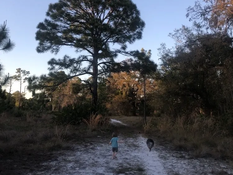 Hiking in Florida: Lake Louisa Boy and Dog
