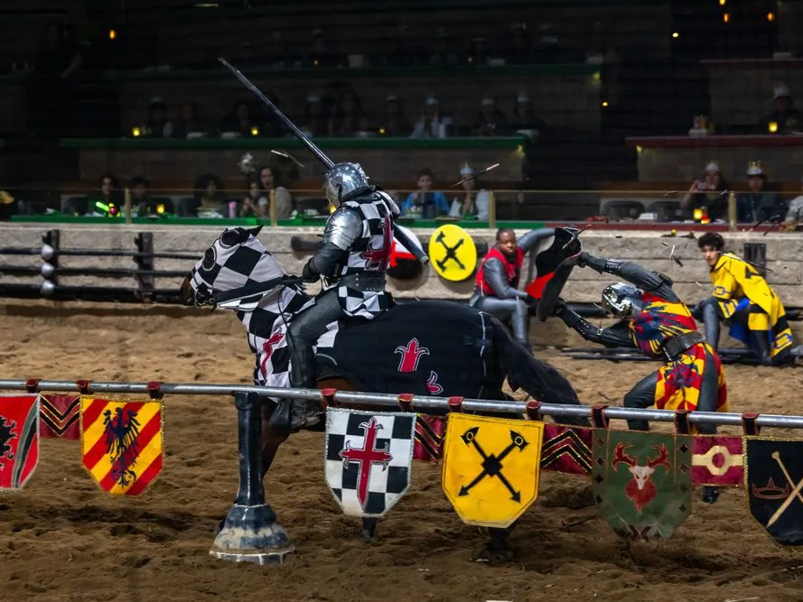 Knight in black and white checkered armor jousting on horseback during a medieval tournament show with colorful heraldic shields.