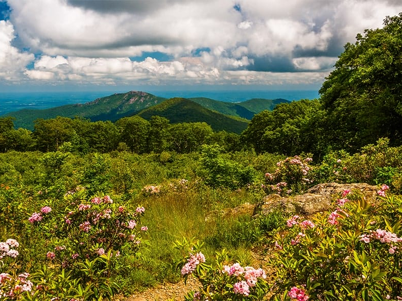 Shenandoah National Park, one of the best national parks in the USA