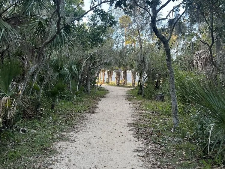 Hiking in Florida: Tomoka State Park Trail