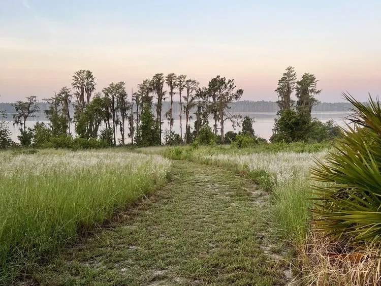Lake Louisa