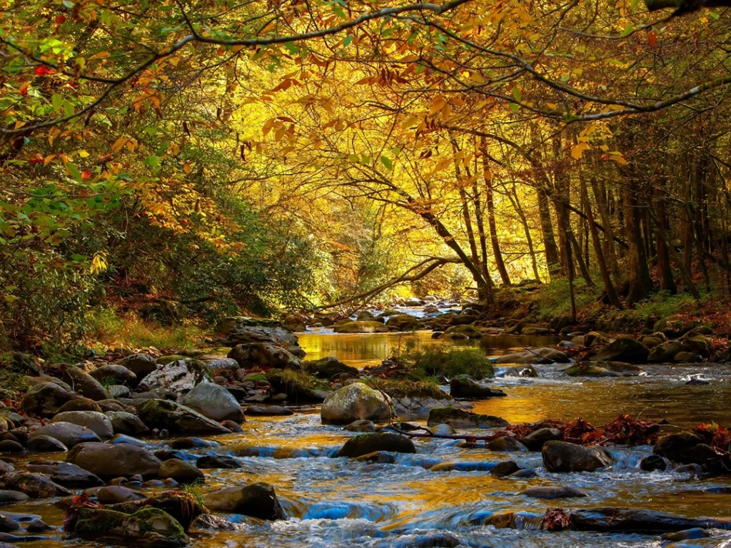 Gatlinburg Great Smoky Mountains in the Fall