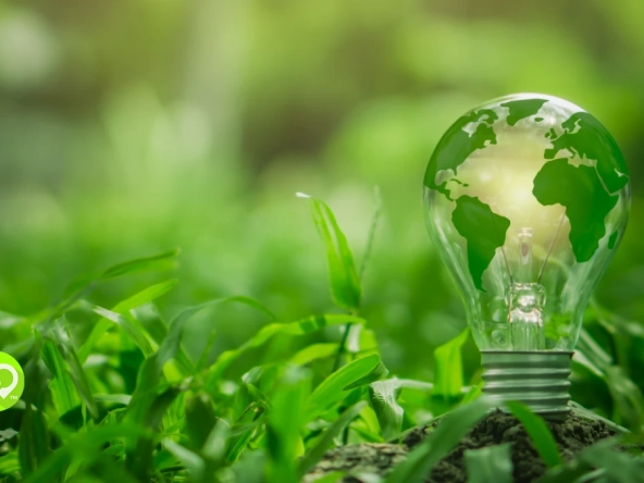 Lightbulb painted to look like earth on leafy green background.