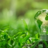 Lightbulb painted to look like earth on leafy green background.