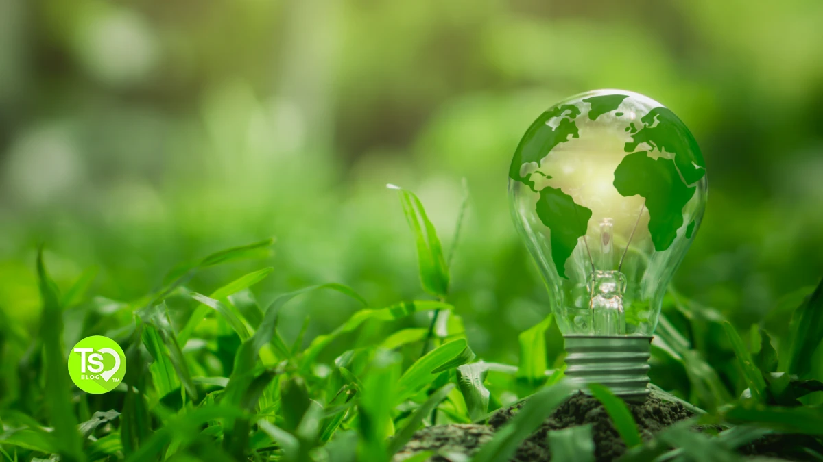 Lightbulb painted to look like earth on leafy green background.