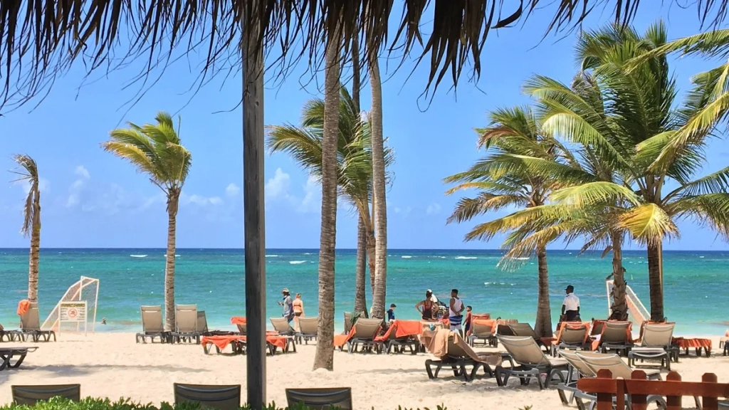Beach loungers and palms at Occidental Punta Cana